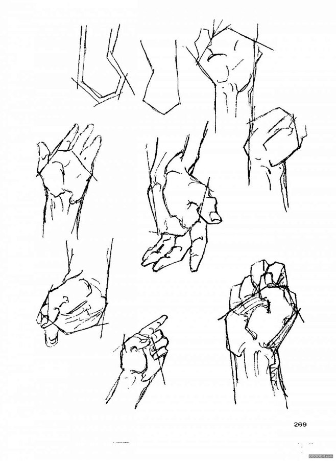 伯里曼人体结构绘画273jpg