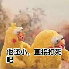 鹦鹉兄弟表情包