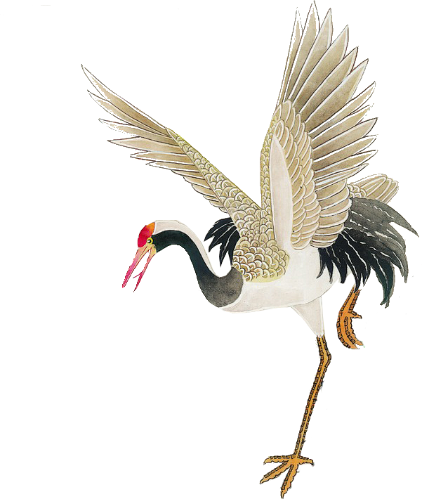 手绘插画水墨画工笔画仙鹤7鸟alo