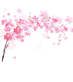 __葉○采集到花草