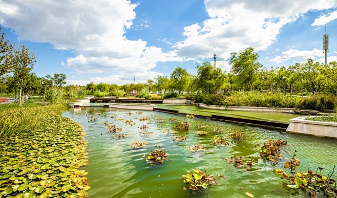 天津中新生態城甘露溪公園奧雅設計谷德設計網gooood是中國最受歡迎與