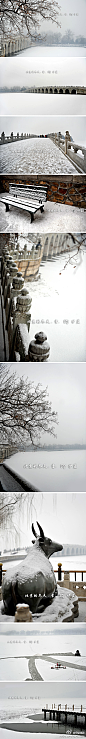 好美！//@微摄友: #我这下雪了#水墨颐和园,你拍过吗?