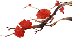 素材 花 枝 梅兰竹菊png 花瓣网 陪你做生活的设计师