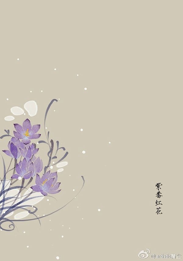 365天生日花 2月28日生日花 紫番红花 Pruple Crocus 花语 款待 Treat 北坤人素材