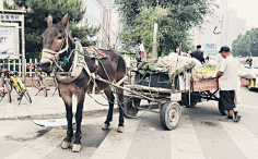 akong采集到旅游