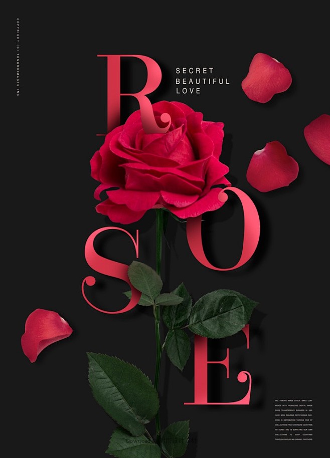 玫瑰花主题海报