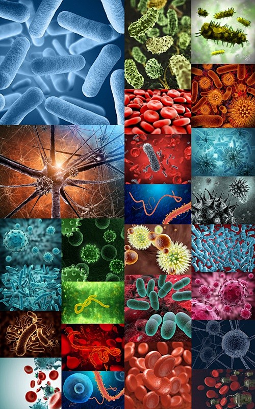 病毒细菌显微镜下高清图片合集ps饭团网