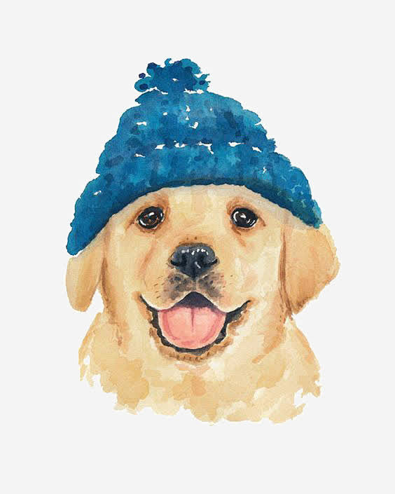 萌范从pptmachine转采于2021-12-04 22:27:15卡通金毛犬插画萌范该