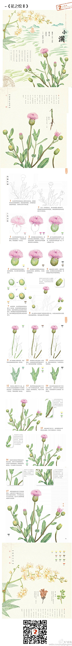 Derway采集到彩铅