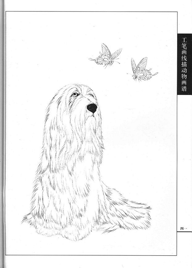 工筆畫線描動物畫譜之名犬篇