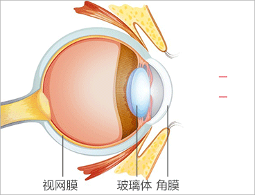 368_282gif 动态图 动图