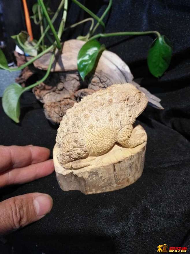 第一次雕刻蟾蜍蛤蟆