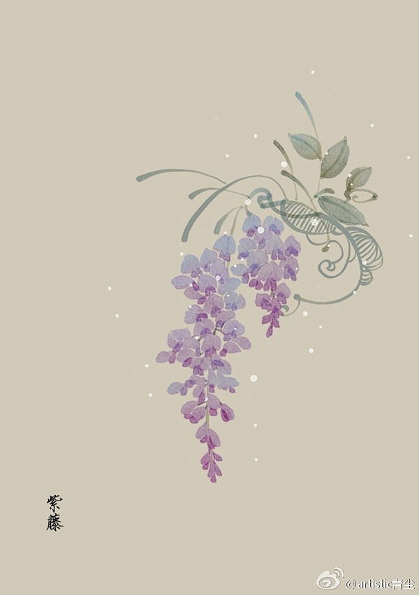 365天生日花 3月25日紫藤 Wisteria Sinensis 花语 美丽