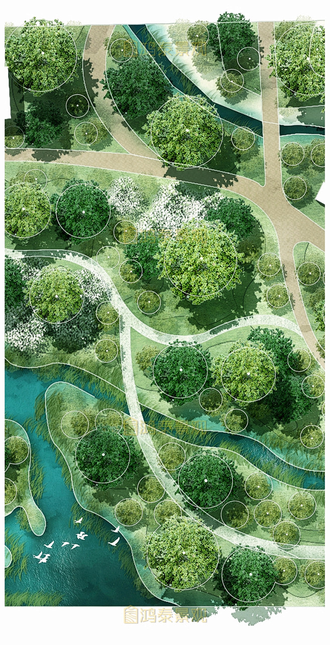 原创竞赛风湿地公园景观彩平psd素材小清新公园景观设计psd总平ps淘宝