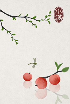 阿修克鲁木佐采集到二十四节气