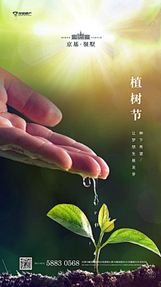 一江小鱼采集到日篇