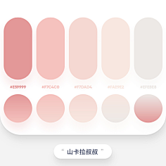 唯自渡采集到色彩