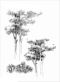 绘晨手绘 室外植物手绘效果图 景观单体手绘效果图 景观植物线稿 绘晨手绘 官网：http://www.hcshart.com/ 