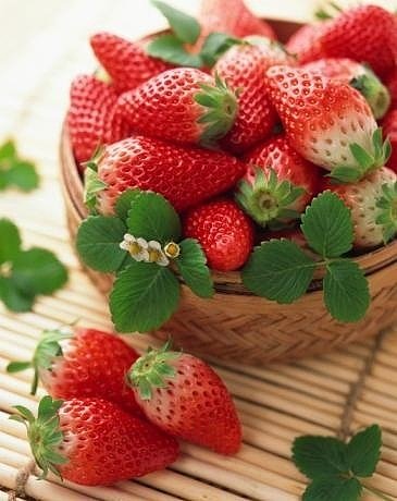 【吃草莓能培养耐心】
因为它属于低矮草茎...