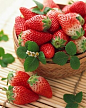 【吃草莓能培养耐心】
因为它属于低矮草茎植物，生长过程中易受污染，因此，吃之前要经过耐心清洗：先摘掉叶子，在流水下冲洗，随后用盐水浸泡5―10分钟，最后再用凉开水浸泡1-2分钟。之后，你才可以将这粒营养丰富的“活维生素丸”吃下。
