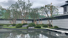 入冬阳光采集到植物造景