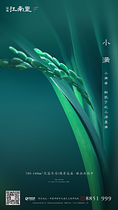 黑眼圈小魔女biubiu采集到节日