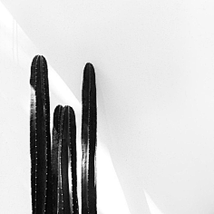 Michaeeel采集到Minimalism.