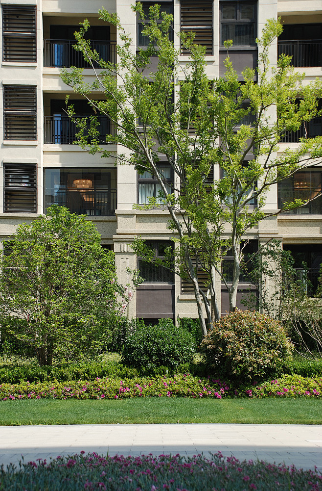 中海南京棠城公館住宅及社區新中式園路地面鋪裝植物成組樹植物種植