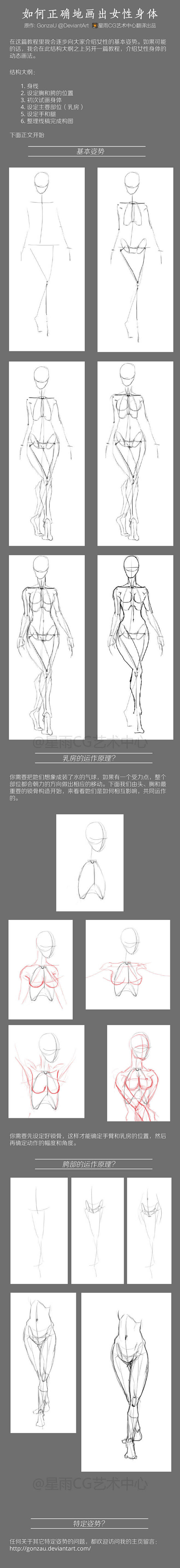 女人体结构动态站胯部