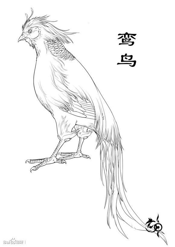 鸞鳥