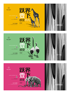 2046king采集到地产系列稿