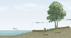 WD-Chubby采集到驳岸