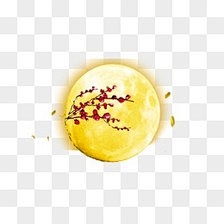 半世浮华月光倾采集到节日素材