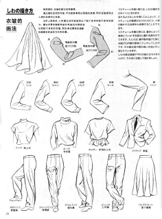 褶皱