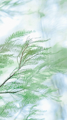 物是人非1采集到素材