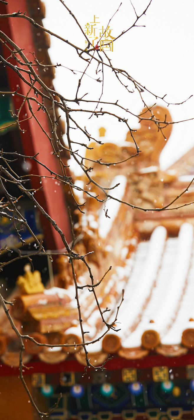 14:45:03故宮 雪景宮牆淡淡空煙火該採集也在以下畫板加載更多