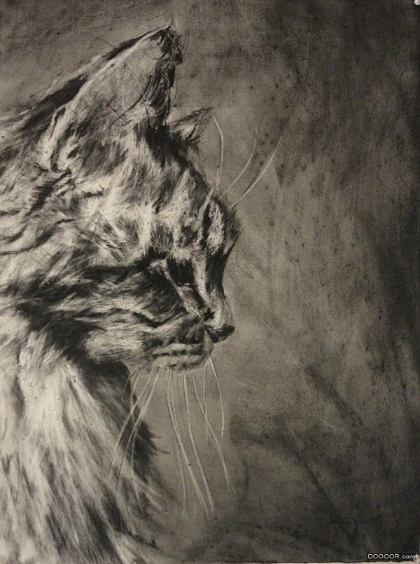 狗和兔子素描还有鸟和猫-Alexander [19P] (