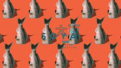 棉大花儿采集到平面设计-gif