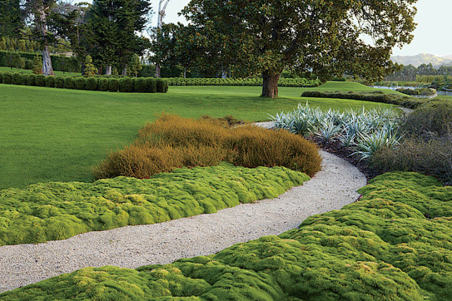 景观绿篱植物设计图集下载绿墙模纹花坛法式园林花园植物树木修剪迷宫