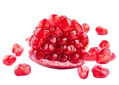 xx仙人掌xx采集到fruit