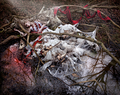 湖畔阴影采集到克里斯蒂·米切尔(Kirsty Mitchell),英国摄影师
