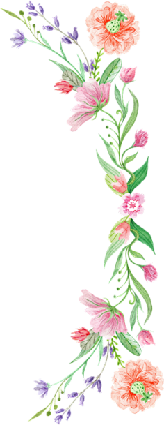 率叶插件采集到【订阅】率叶测试专用画板