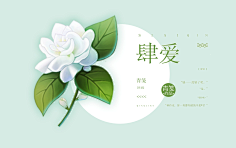 张闯闯采集到【非本人】素锦赏析