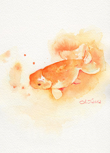 金鱼水彩插画