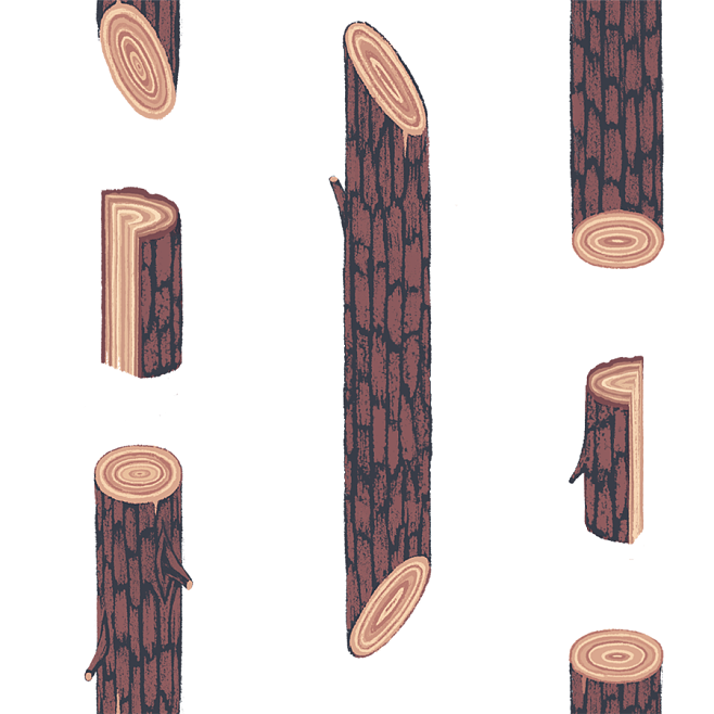 森系手绘木纹年龄木桩树枝叶子蘑菇羽毛png免抠ps素材 3