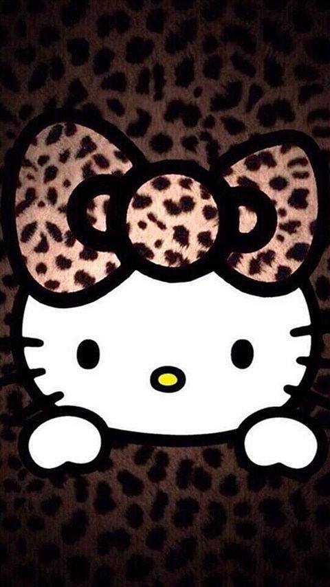 卡通人物凯蒂猫图片