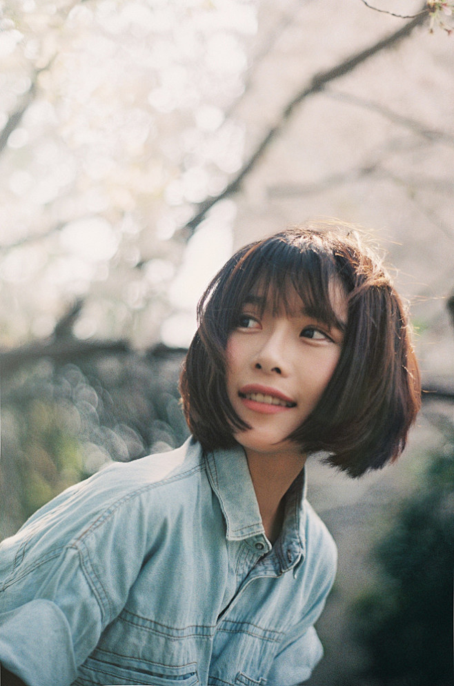 樾下糖麻叶采集到如痴如醉