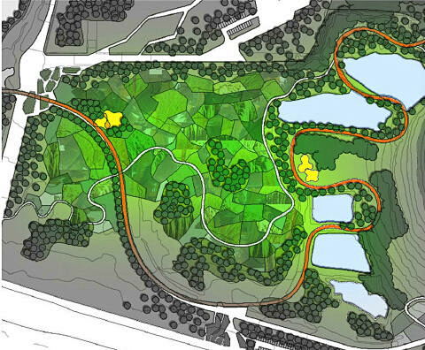 湿地公园水生植物种植斑块园林景观平面图