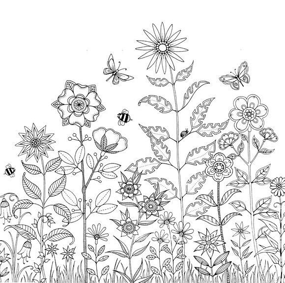 线稿秘密花园和魔法森林高清线稿可以当背景素材的说线稿吧百度贴吧