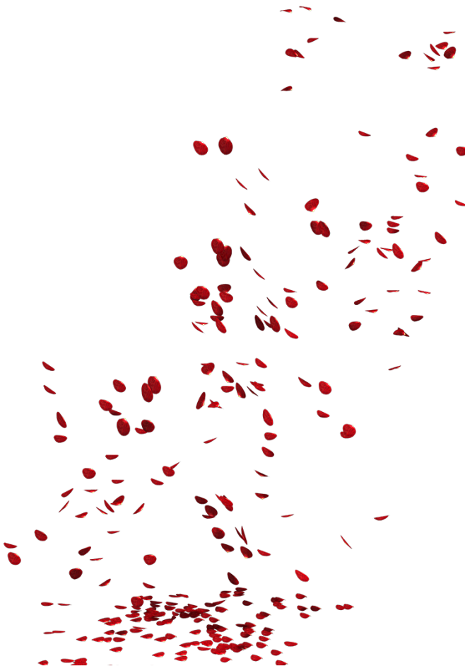 玫瑰花瓣飘落png